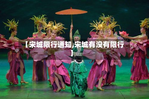 【宋城限行通知,宋城有没有限行】-第2张图片