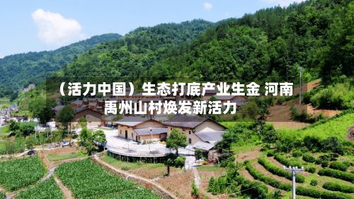 (活力中国)生态打底产业生金 河南禹州山村焕发新活力-第2张图片