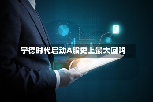 宁德时代启动A股史上最大回购