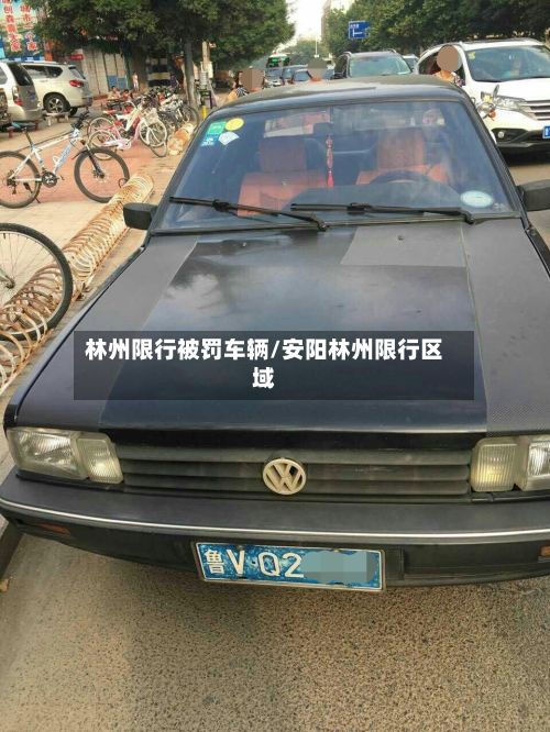 林州限行被罚车辆/安阳林州限行区域-第2张图片