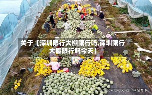 关于【深圳限行大棚限行吗,深圳限行大棚限行吗今天】