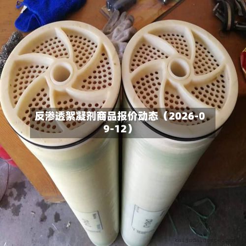 反渗透絮凝剂商品报价动态（2026-09-12）-第2张图片