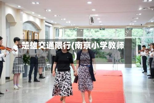 楚雄交通限行(南京小学教师)-第3张图片
