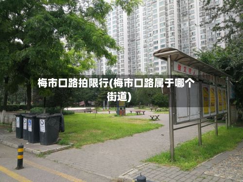 梅市口路拍限行(梅市口路属于哪个街道)-第3张图片