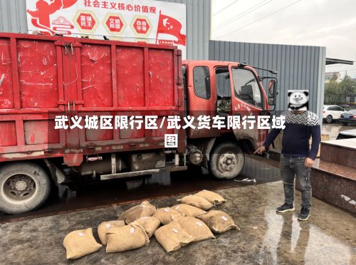 武义城区限行区/武义货车限行区域图-第2张图片