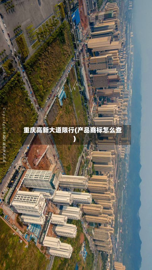 重庆高新大道限行(产品商标怎么查)