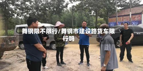 舞钢限不限行/舞钢市建设路货车限行吗-第2张图片