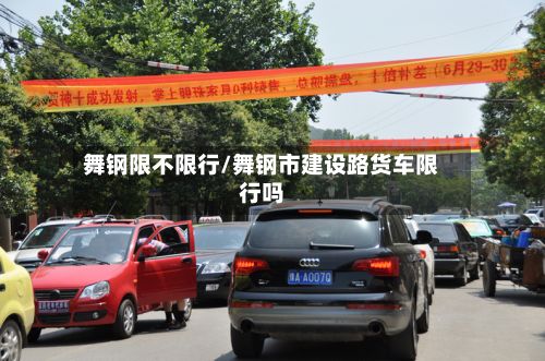 舞钢限不限行/舞钢市建设路货车限行吗-第3张图片