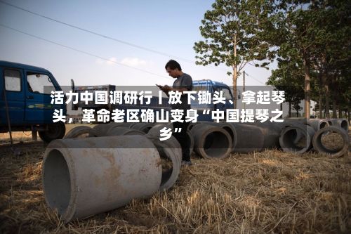 活力中国调研行丨放下锄头、拿起琴头，革命老区确山变身“中国提琴之乡”