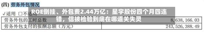 ROE倒挂	、外包费2.44万亿：星宇股份四个月四连错	，信披检验到底在哪道关失灵-第2张图片