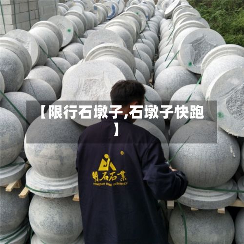 【限行石墩子,石墩子快跑】