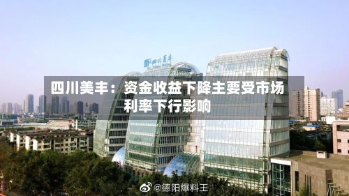四川美丰：资金收益下降主要受市场利率下行影响