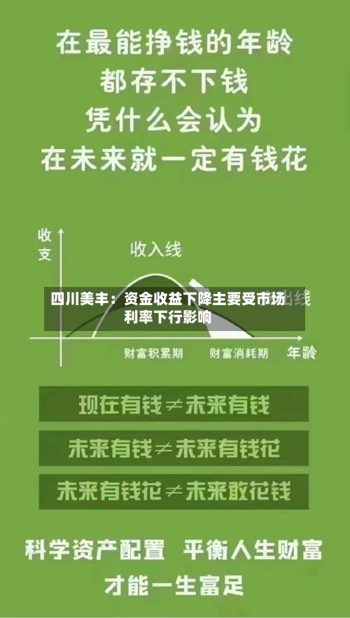 四川美丰:资金收益下降主要受市场利率下行影响-第2张图片