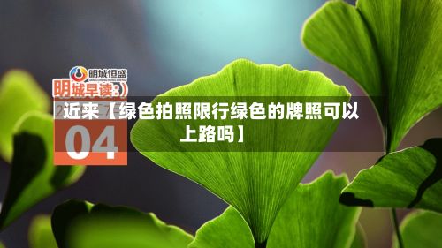 近来【绿色拍照限行绿色的牌照可以上路吗】