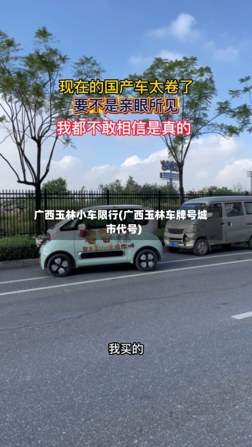 广西玉林小车限行(广西玉林车牌号城市代号)-第2张图片