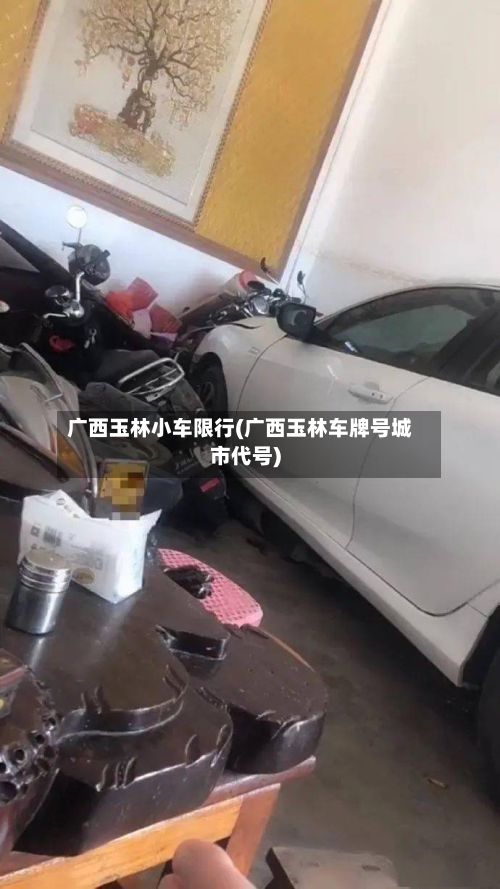 广西玉林小车限行(广西玉林车牌号城市代号)