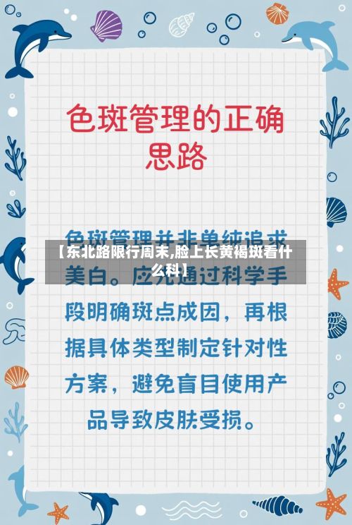 【东北路限行周末,脸上长黄褐斑看什么科】