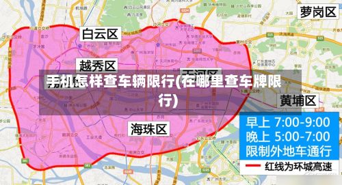 手机怎样查车辆限行(在哪里查车牌限行)-第2张图片