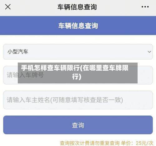 手机怎样查车辆限行(在哪里查车牌限行)-第3张图片
