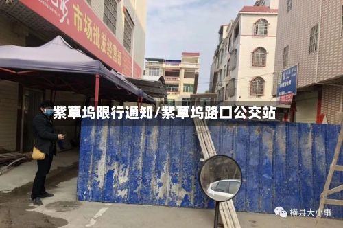紫草坞限行通知/紫草坞路口公交站-第2张图片