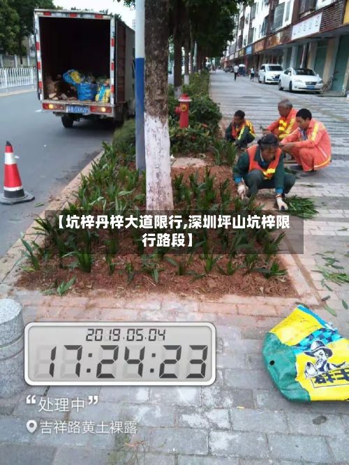 【坑梓丹梓大道限行,深圳坪山坑梓限行路段】-第2张图片