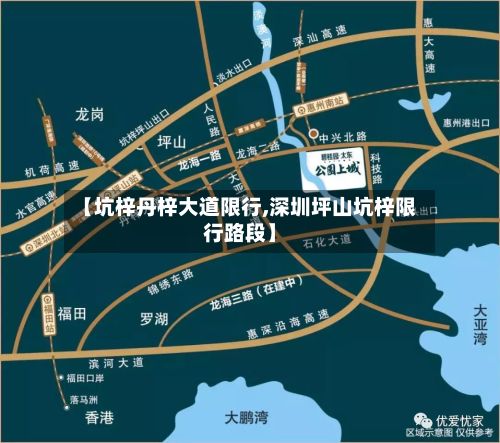 【坑梓丹梓大道限行,深圳坪山坑梓限行路段】-第3张图片