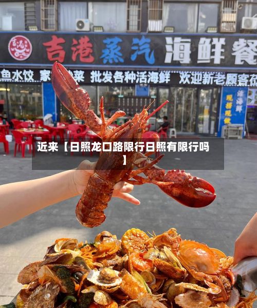 近来【日照龙口路限行日照有限行吗】-第3张图片