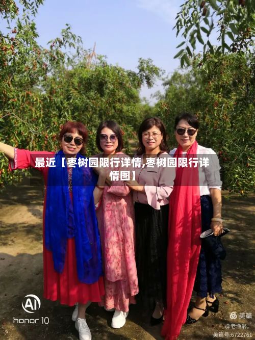最近【枣树园限行详情,枣树园限行详情图】