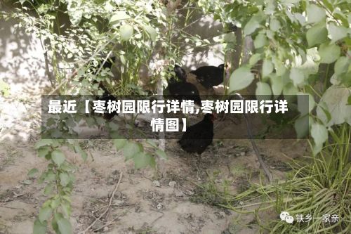 最近【枣树园限行详情,枣树园限行详情图】-第3张图片