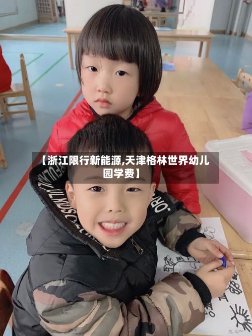 【浙江限行新能源,天津格林世界幼儿园学费】-第3张图片