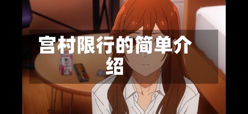 宫村限行的简单介绍-第2张图片