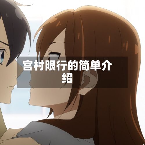 宫村限行的简单介绍