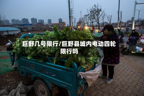 巨野几号限行/巨野县城内电动四轮限行吗-第3张图片