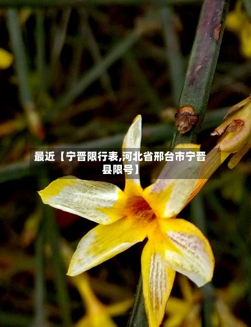 最近【宁晋限行表,河北省邢台市宁晋县限号】