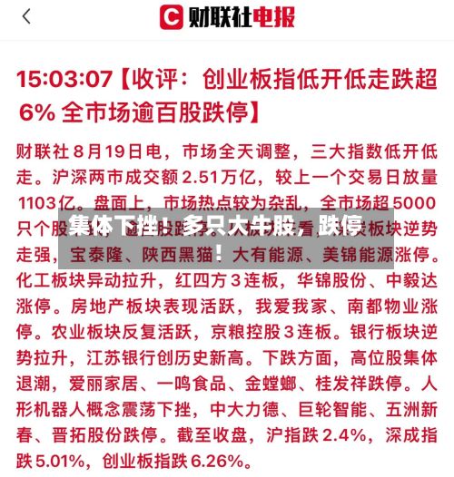集体下挫！多只大牛股，跌停！-第2张图片