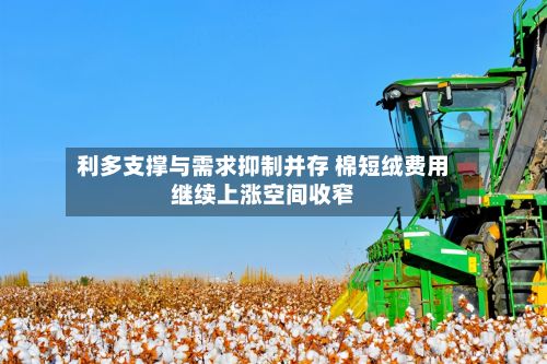 利多支撑与需求抑制并存 棉短绒费用
继续上涨空间收窄-第1张图片