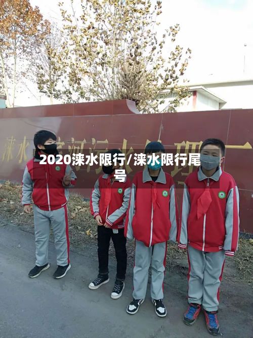 2020涞水限行/涞水限行尾号-第2张图片