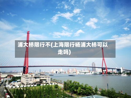浦大桥限行不(上海限行杨浦大桥可以走吗)