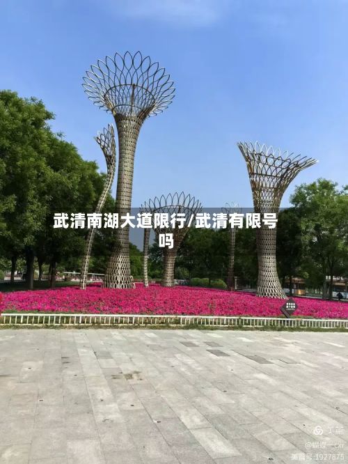 武清南湖大道限行/武清有限号吗-第2张图片