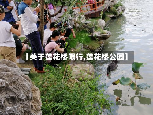 【关于莲花桥限行,莲花桥公园】-第3张图片