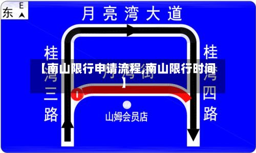 【南山限行申请流程,南山限行时间】-第3张图片