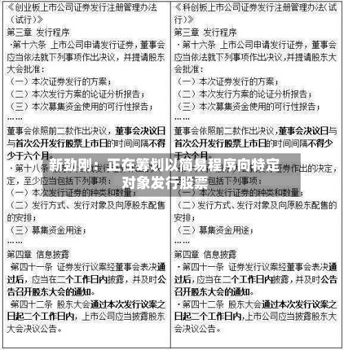 新劲刚：正在筹划以简易程序向特定对象发行股票-第3张图片