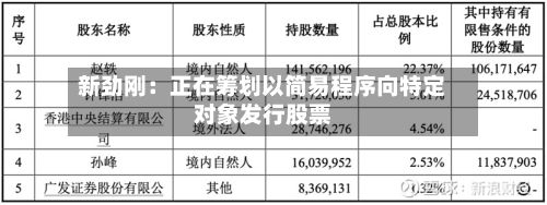 新劲刚：正在筹划以简易程序向特定对象发行股票-第2张图片