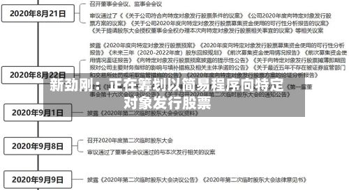新劲刚:正在筹划以简易程序向特定对象发行股票