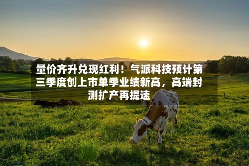 量价齐升兑现红利！气派科技预计第三季度创上市单季业绩新高，高端封测扩产再提速-第2张图片