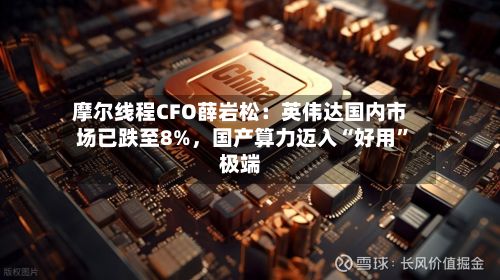 摩尔线程CFO薛岩松：英伟达国内市场已跌至8%	，国产算力迈入“好用	”极端-第2张图片