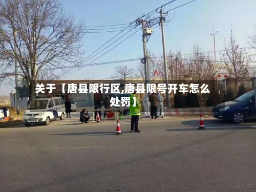 关于【唐县限行区,唐县限号开车怎么处罚】-第3张图片
