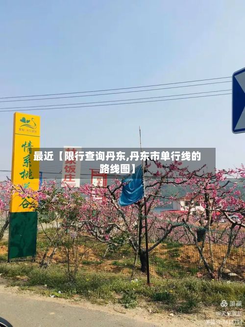 最近【限行查询丹东,丹东市单行线的路线图】-第2张图片