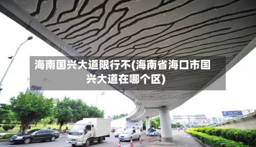 海南国兴大道限行不(海南省海口市国兴大道在哪个区)