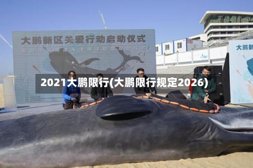 2021大鹏限行(大鹏限行规定2026)-第3张图片